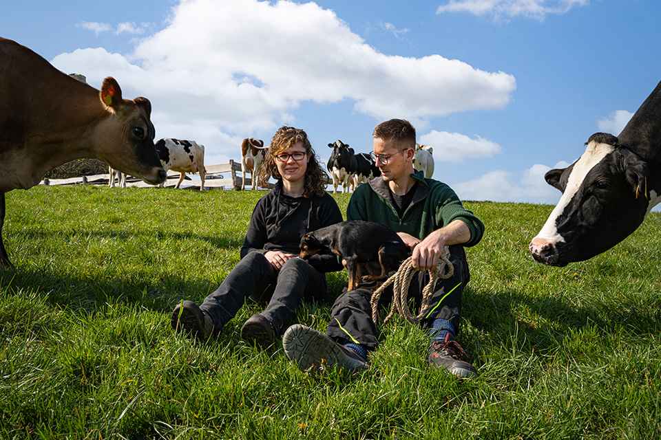 Foto: Landwirte sitzen auf Weide zwischen Kühen